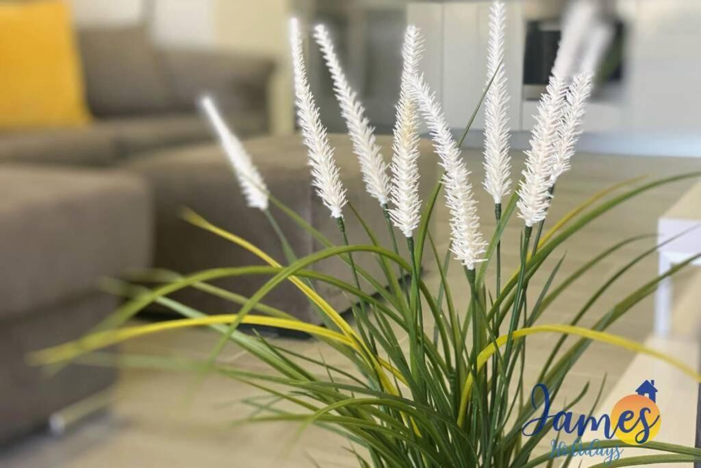 Green Hills Luxury Apartment With Comm Pool Alicante Exteriör bild